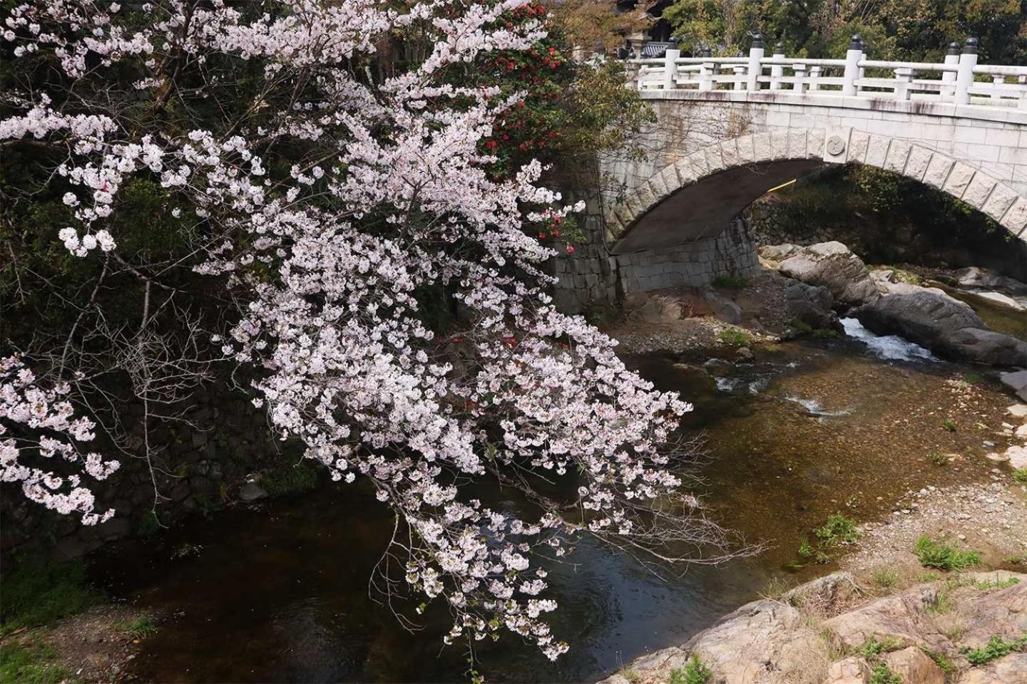 Mizuma No Yado - Vacation Stay 16613V Kaizuka Экстерьер фото